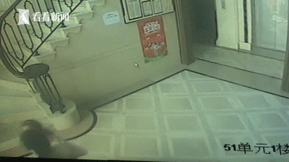 一头猪的奇幻全球之旅_9929 IDC互联