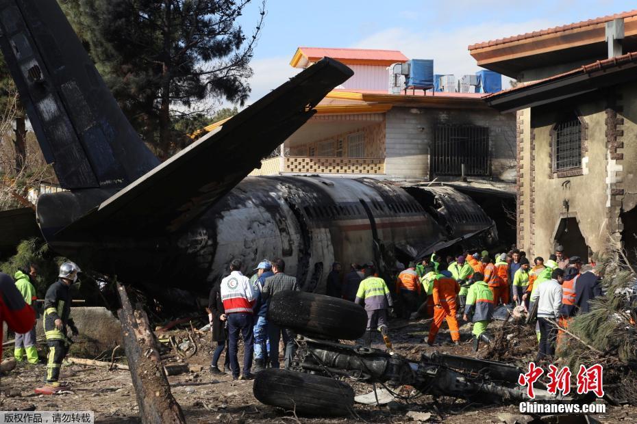 成都大熊猫繁育研究基地再添龙凤胎大熊猫_挂机宝雷电模拟器