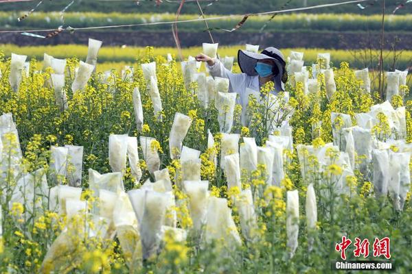 租云服务器流程_美国CN2服务器哪家好