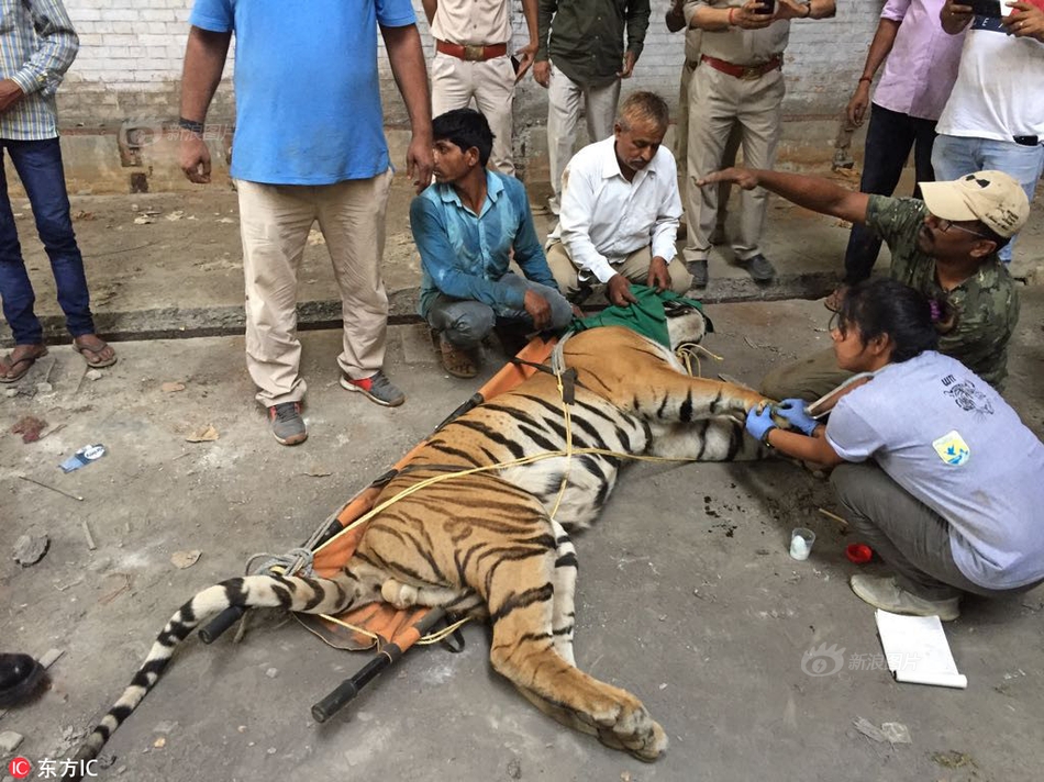 2018-10-21 期加油向未来 第3季丁俊晖挑战花式打法秀呆撒贝宁知识科普_CN2服务器节点