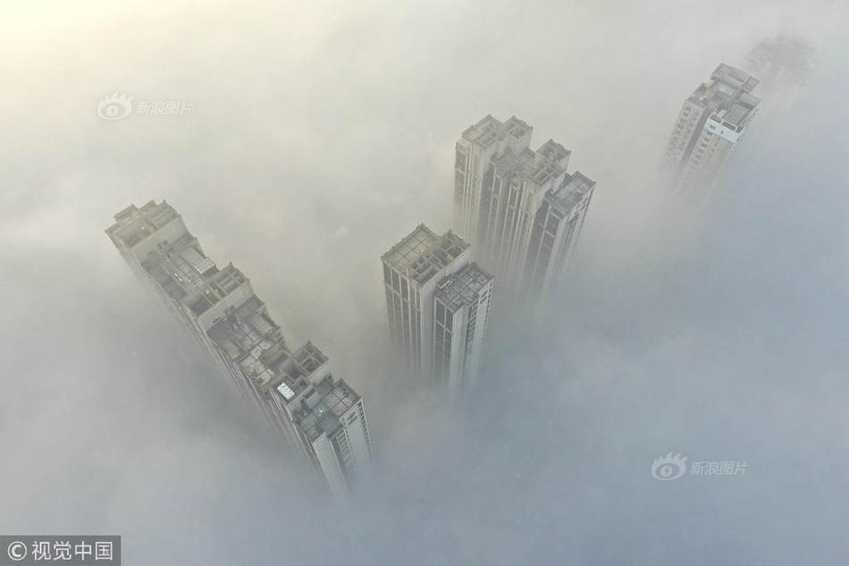 北京20名司机被终生禁驾,一半因肇事逃逸一半因酒驾