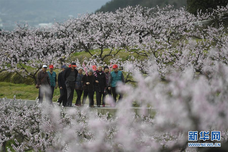 公益接力 为爱“健行”_CN2服务器多少ping