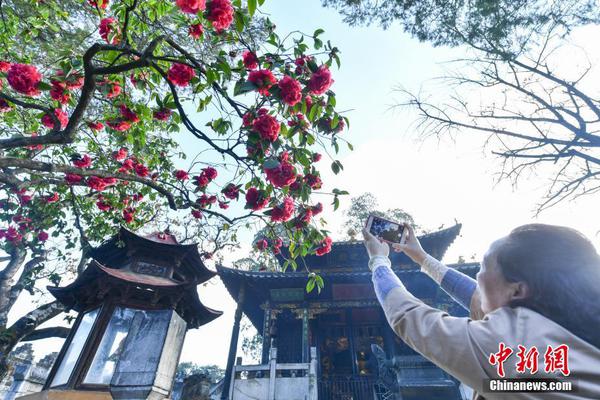 “2019上海春浪音乐节” 实体追星 22组艺人打造端午音乐盛宴