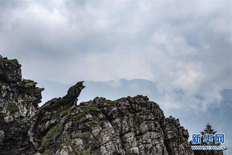 美军舰通过台湾海峡 外交部:全程掌握有关情况_挂机宝机器人