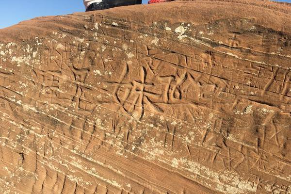 河南云服务器哪家好_CN2云主机