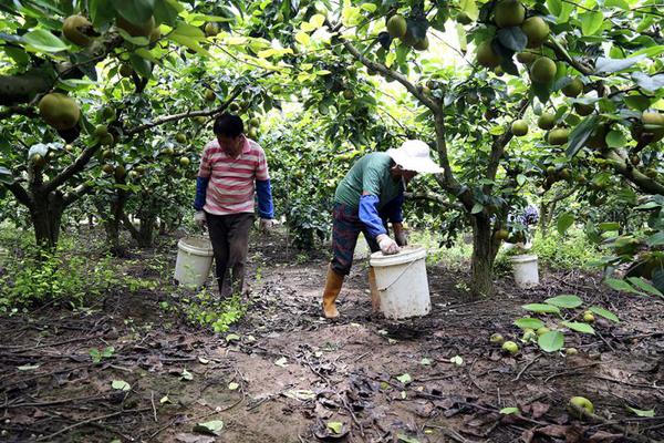 5月生肖贵人运势吉凶榜 这两个生肖运势上扬_挂机宝指纹浏览器