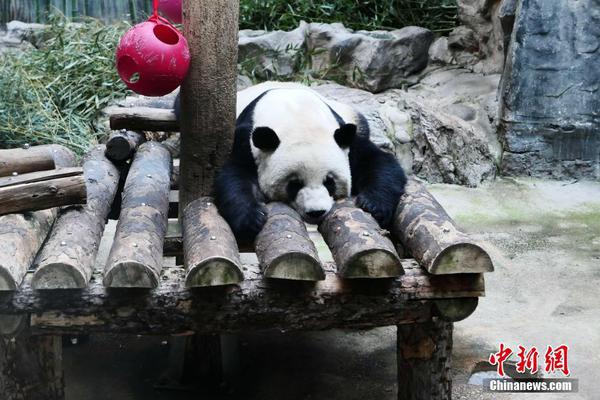签约店铺是什么？如何开通？_9929免费试用