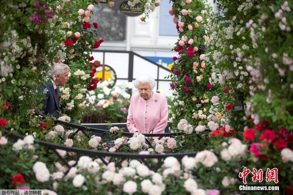 五一长假首日 高速又成“停车场”_挂机宝页游挂机