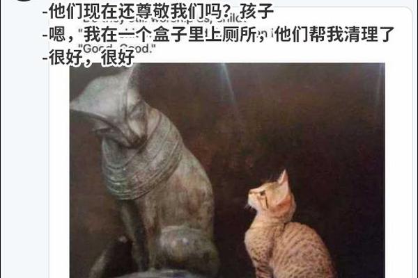 杨幂的小细腿穿单车裤似竹竿 被欧美女星秒杀_LXC挂机宝