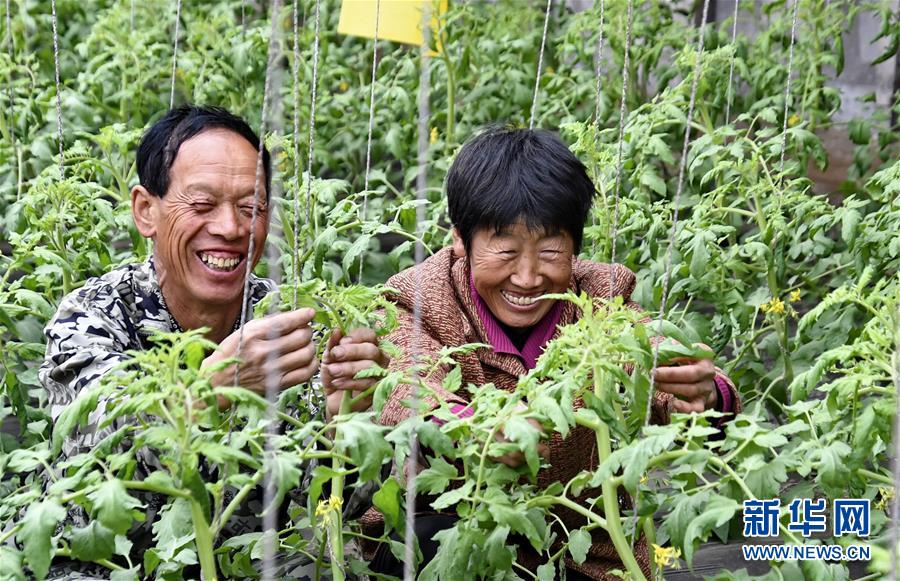 丁俊晖:今天进攻防守都不好_云电脑评测