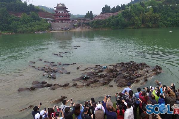 10岁男孩深度昏迷122天,当父母绝望时睁开眼睛,流下了泪水_9929访问稳定