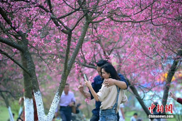 中安资产公司“四送一服”化解无为电线电缆产业风险_CN2 GIA线路优势
