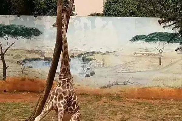 连续闹翻3个经纪人？赵丽颖取关黄斌 还删感谢文