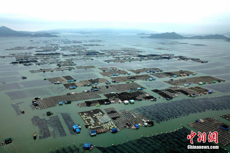公交点钞员每天清点1100多个钱袋 硬币纸币一个个数_挂机宝Telegram机器人