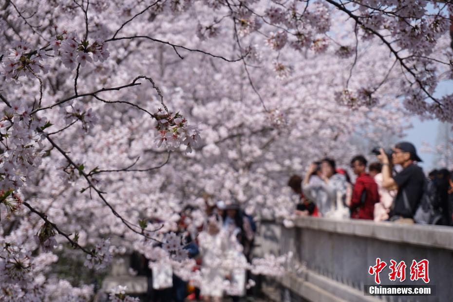 战胜塑料污染 建设美丽中国_云服务器4核8G