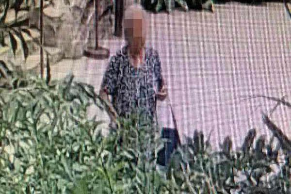 官方辟谣上戏女学生携子闹场_9929线路