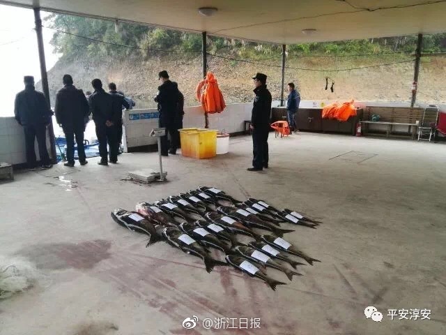 Uzi首次回应2800:这不是我职业生涯创造历史性的一刻吗?_9929外贸网站