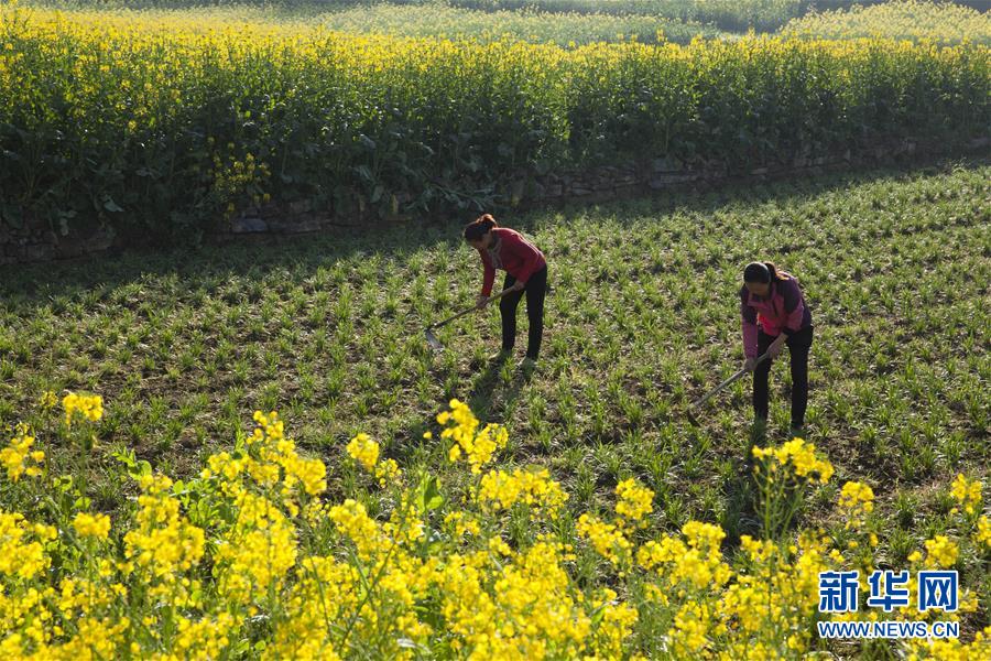 五一小长假,单身女生最应该去的三个国内旅游圣地_云电脑怎么连接