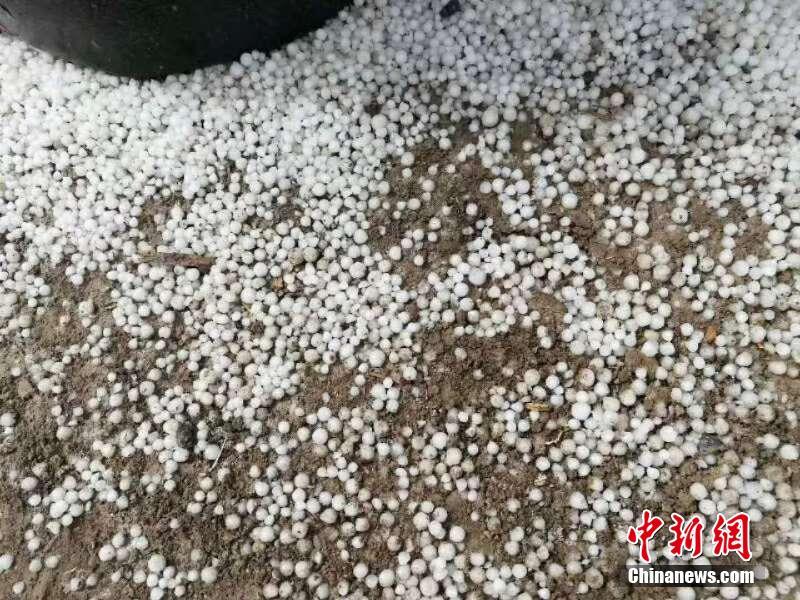 首度披露！重庆公安局原局长何挺下属已被双开_CN2服务器多少ping