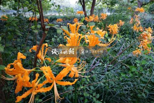 好物抢先知:办公室避暑神器了解一下