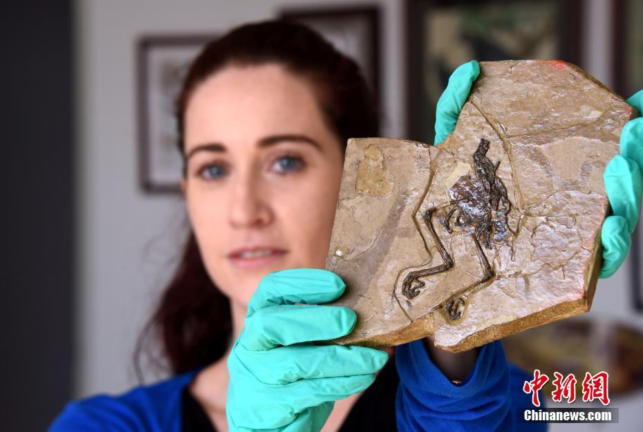 宝塔绑定域名_挂机宝开发环境