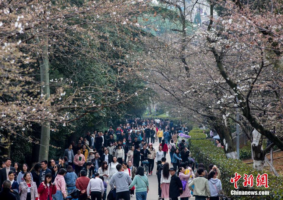 大师赛伍兹2杆落后冲冠李昊桐T57_CN2服务器游戏加速