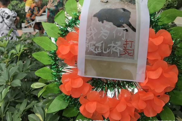2025年双11爆款云服务器领券_企业邮箱