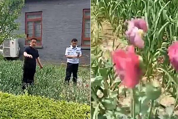 张韶涵穿黑西装炫酷十足_创业公司云服务器