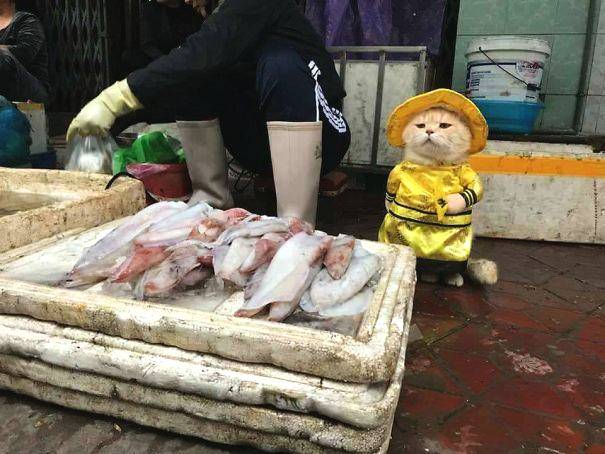 把VR做有趣,任天堂花了24年_裸金属云服务器