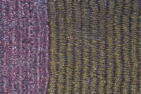 习近平同梅迪纳互致贺电_远程办公
