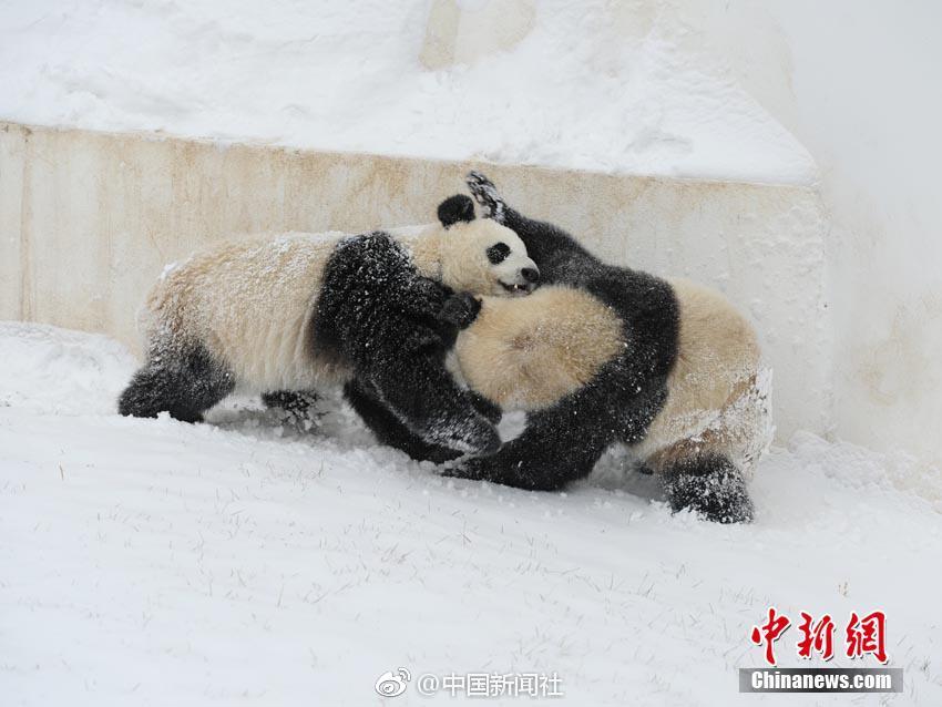 他们的设计获无数人点赞_企业官网服务器