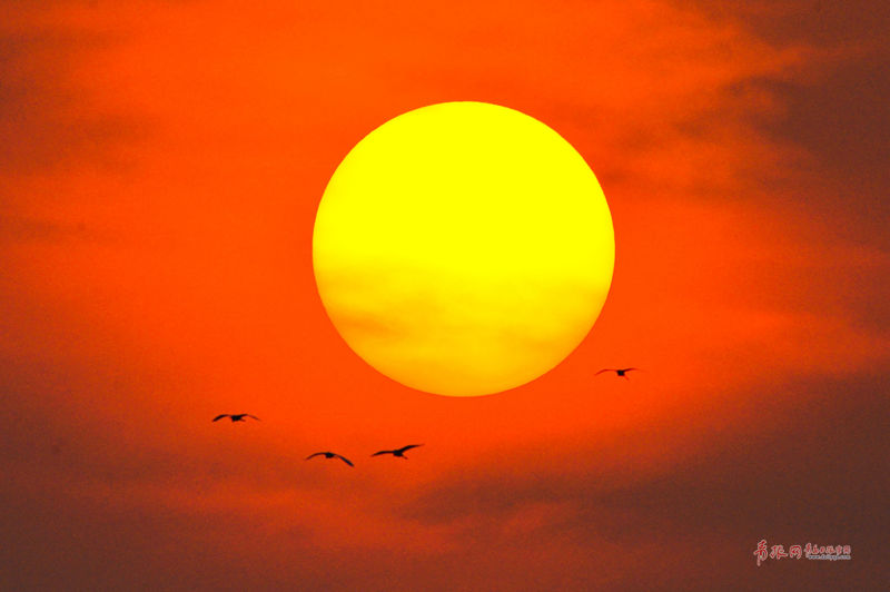 更新至18集创业时代黄轩杨颖还原热血创业史嘉宾:黄轩 Angelababy 周一围_VDI