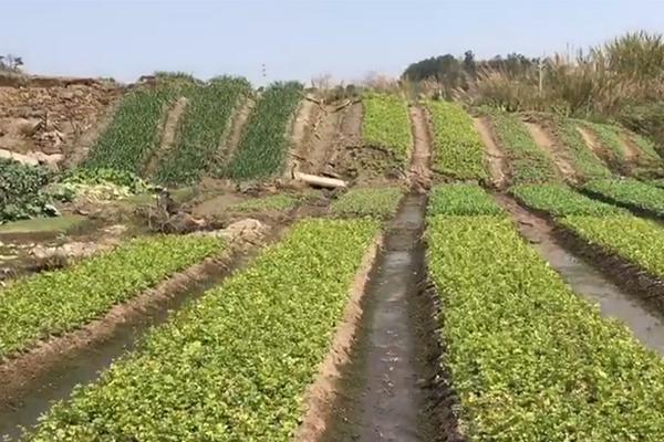 朴有天认罪原因曝光：在监狱与家人见面太痛苦_云电脑集中管理