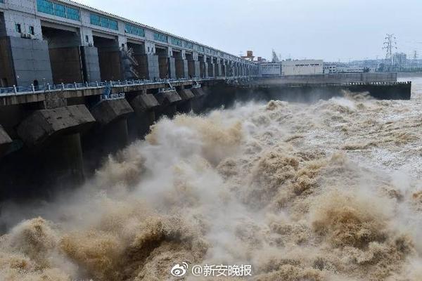 豆乐儿歌自制 更新至100集_9929访问稳定
