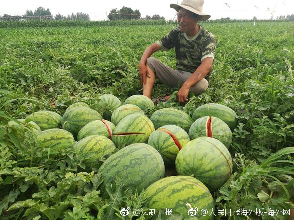 用一张表,解决和孩子的沟通问题_云电脑服务器