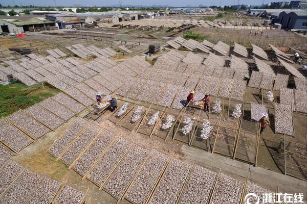 助力世界经济增长 携手发展繁荣之路_挂机宝批发