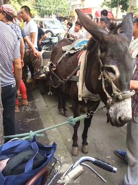 我们的朋友圈里,有多少人在假装读书?_9929欧洲VPS