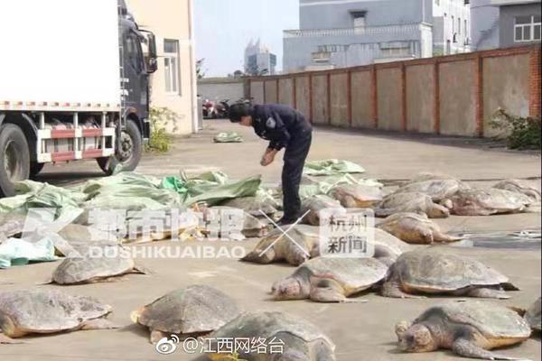 来欢乐谷 看《第五人格》_挂机宝加速器