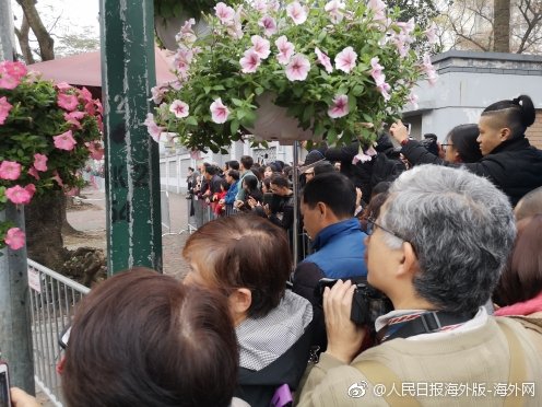 双十一爆款云服务器在哪领券_CN2 AI服务器