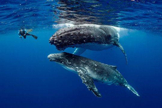 双一流高校食堂哪家强？_云主机