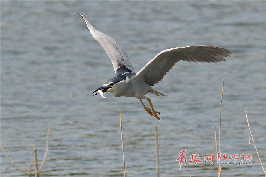 孩子长