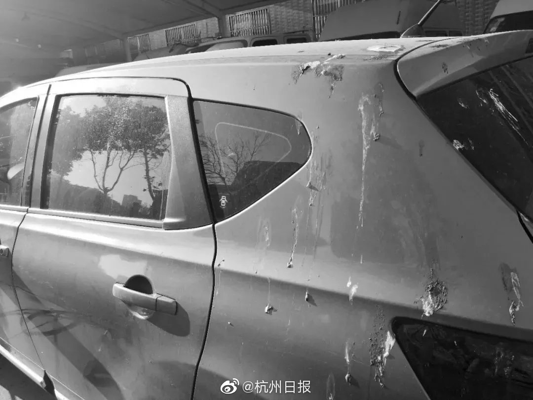 中国小伙当上尼日利亚酋长_CN2 GT线路