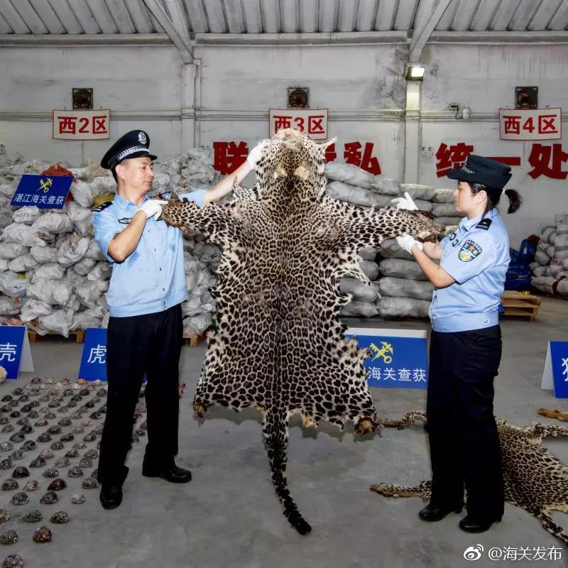 许嵩:唱过人间的那些情爱_显卡挂机宝