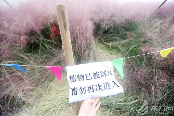 五一堵堵堵:深夜出城大军哀嚎“干粮吃光 忘带尿不湿”_挂机宝解锁Netflix