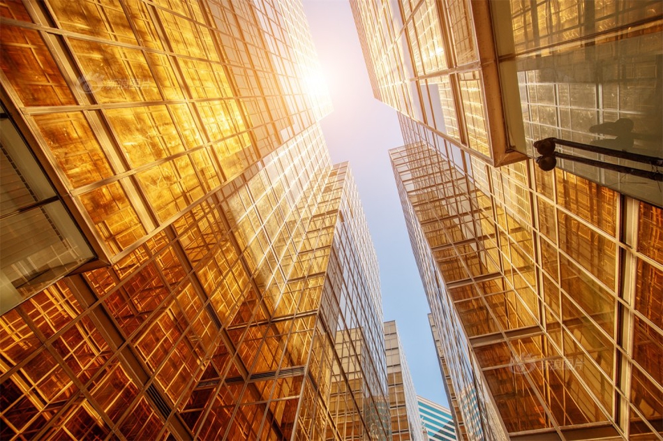 研究：猫能听懂自己名字 看来理不理你是另外一回事_云电脑移动办公
