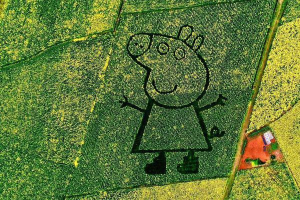 PUBG下半年大陆赛区电竞赛事计划_重庆云服务器