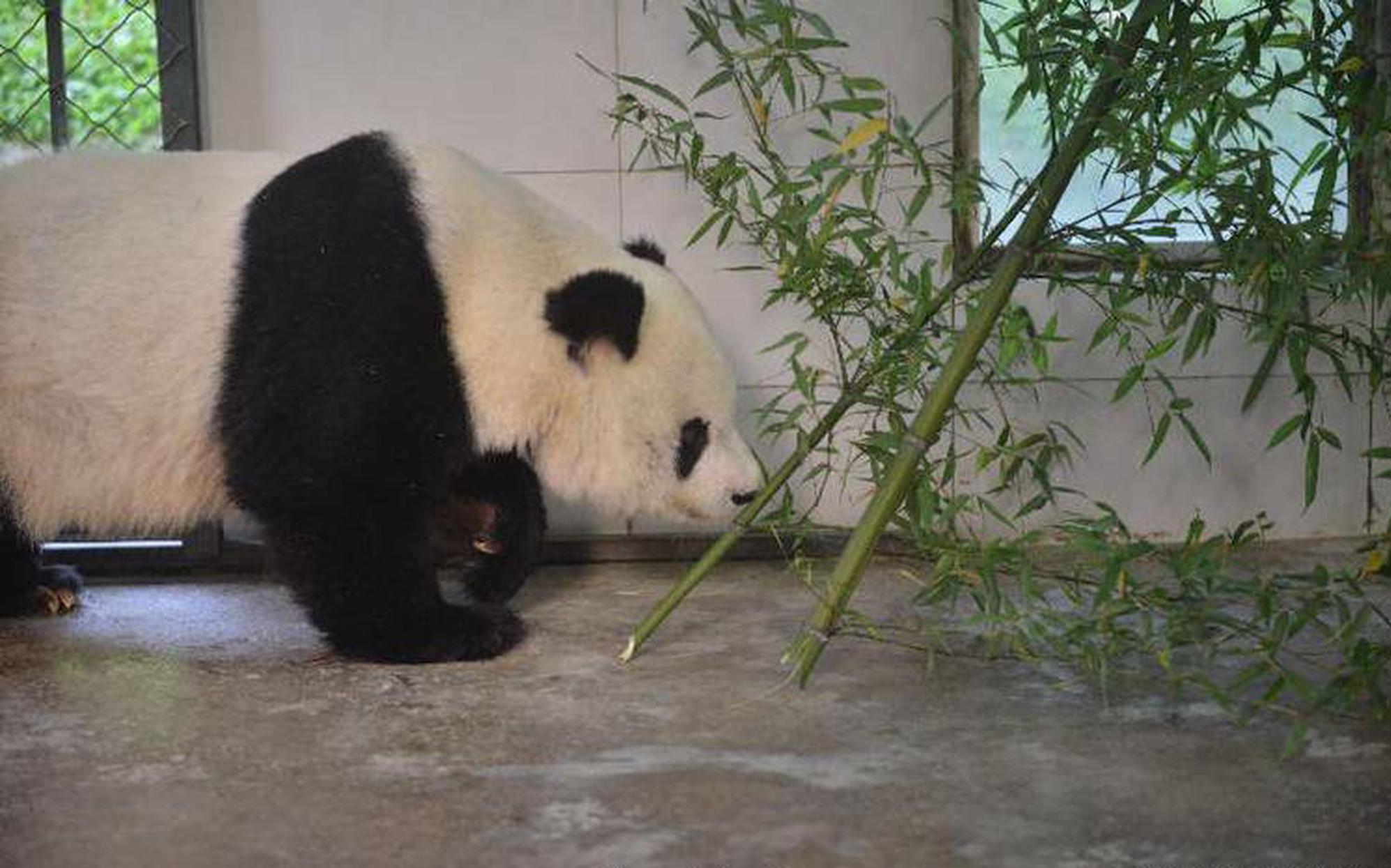 一季度销售额齐下滑 龙头房企触及业绩天花板?_弹性云服务器