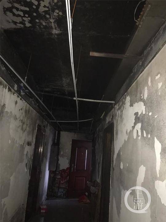 浙江省发布近视防控意见_挂机宝工作室