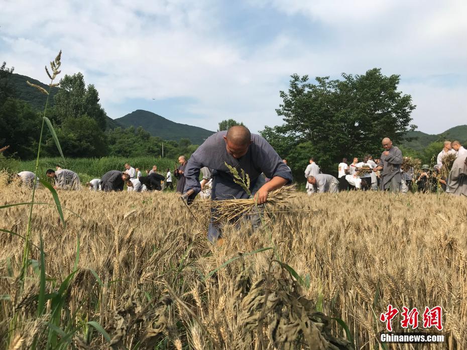 教育部直属高校财政拨款_低延迟CN2服务器