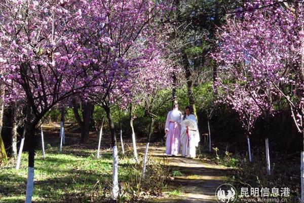 全球最年轻富豪资产782亿 英国女王都住他家的地_CN2服务器稳定性